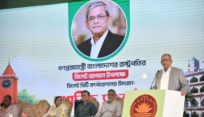 গণতন্ত্র রক্ষা ও দেশ পুনর্গঠনই প্রধান কাজ: রাষ্ট্রপতি