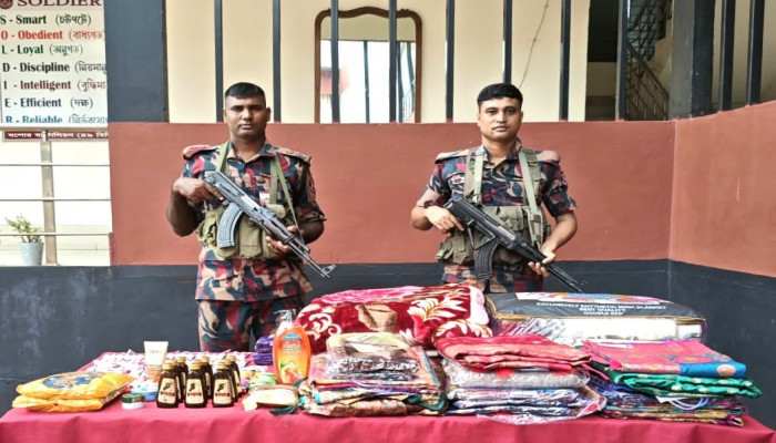 যশোরে ৭ লাখ ৬৫ হাজার টাকার মাদক ও চোরাচালানি পণ্য জব্দ