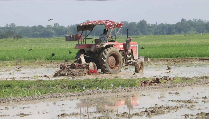 জ্বালানি তেলের মূল্যবৃদ্ধি নওগাঁর কৃষিতে বাড়ছে উৎপাদন ব্যয়, লোকসানের শঙ্কা