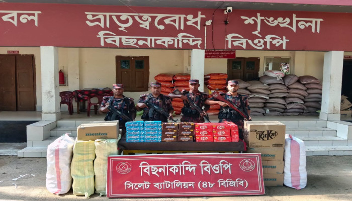 বিএনপি টিকেই আছে চাঁদাবাজিসহ বিভিন্ন দুরারোগ্য ব্যাধির ওপর: সারজিস আলম