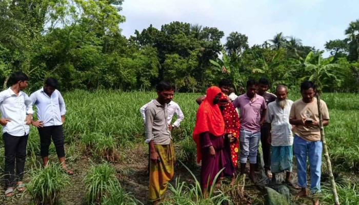ঝিনাইদহে বিদ্যুতের তার চুরি করতে গিয়ে যুবকের মৃত্যু