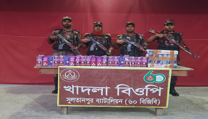 সুলতানপুর সীমান্তে ৪৬ লাখ ৭৫ হাজার টাকার ভারতীয় চোরাই পণ্য জব্দ