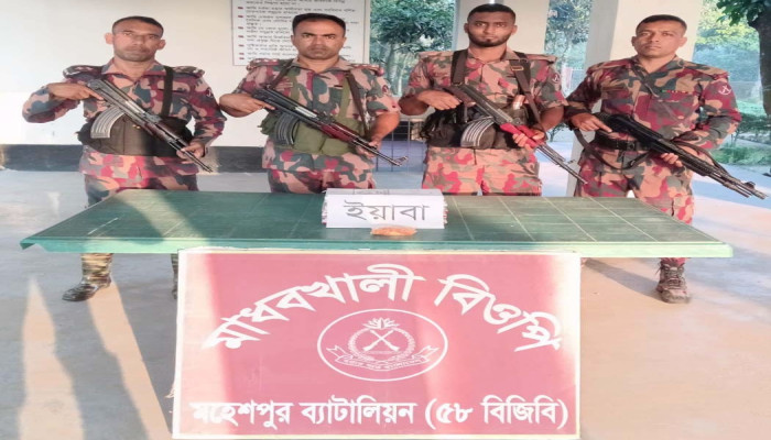 মহেশপুর সীমান্তে ৪ লাখ টাকার ভারতীয় ইয়াবা জব্দ