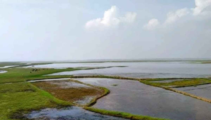 ভরাট হচ্ছে হাকালুকি, হারিয়ে যাচ্ছে বিল