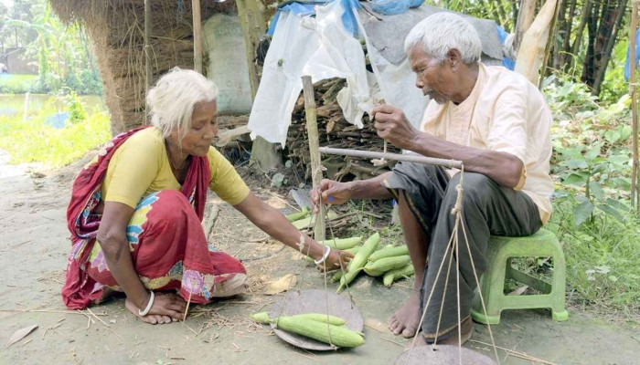 বয়সের ভারে থেমেছে কাজ, থামেনি অভাব