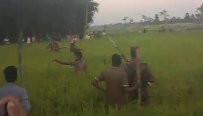লালমনিরহাটে বাঘের আক্রমণে নারীসহ আহত ৩